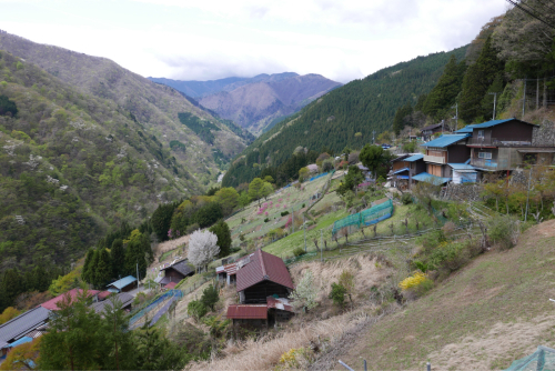 天界の村を歩く２ 関東山地 荒川_d0147406_12322794.jpg