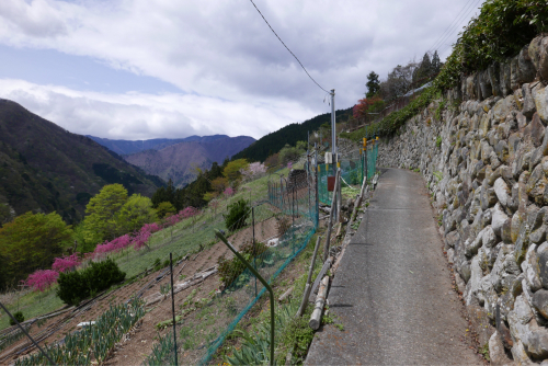 天界の村を歩く２ 関東山地 荒川_d0147406_12521229.jpg