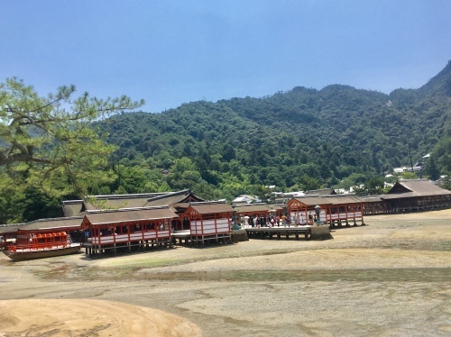 d0179410_23130279.jpeg