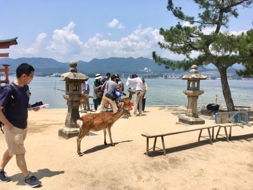 d0179410_23505220.jpeg