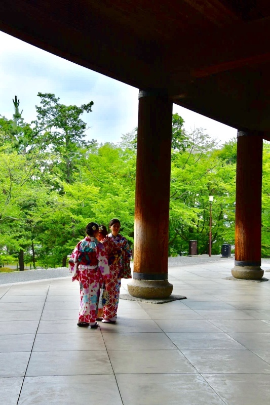 京都旅 2019 その8 ラスト_b0223512_20281675.jpeg