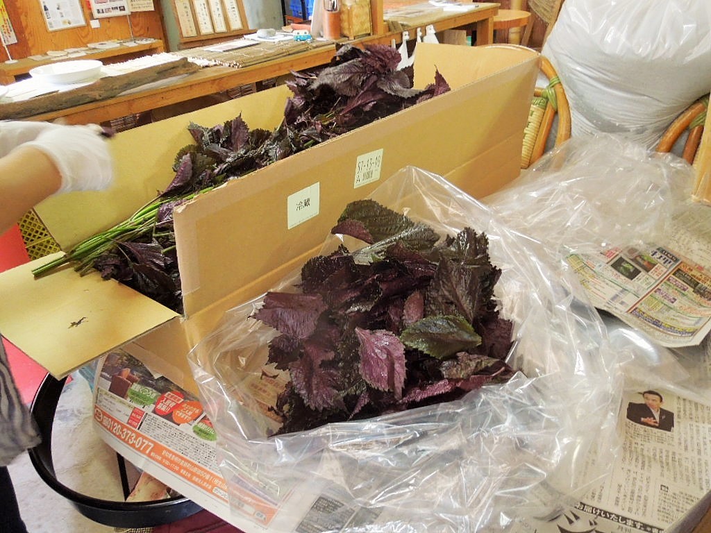 「梅仕事 ②-2019」_a0120513_17391631.jpg