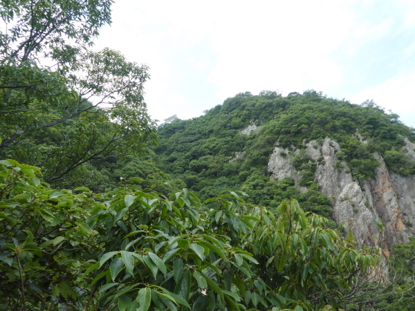 d0170615_20494150.jpg