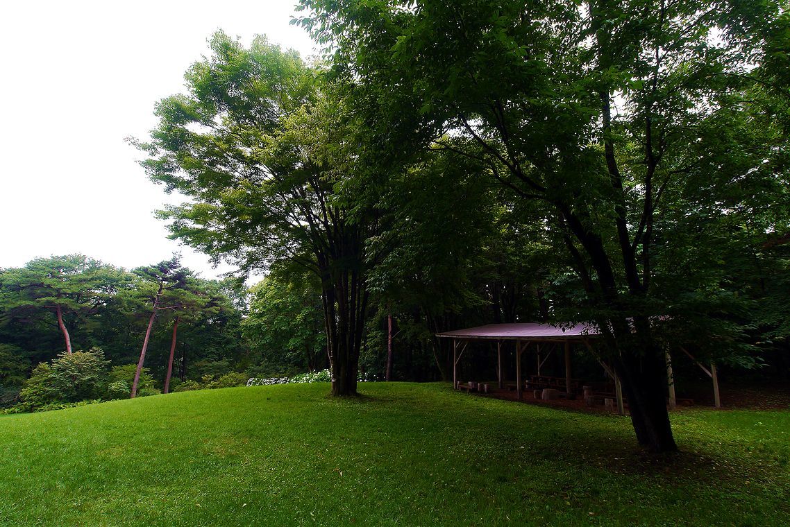 緑烟る赤城自然園・・・梅雨の晴れ間に_a0031821_21225805.jpg