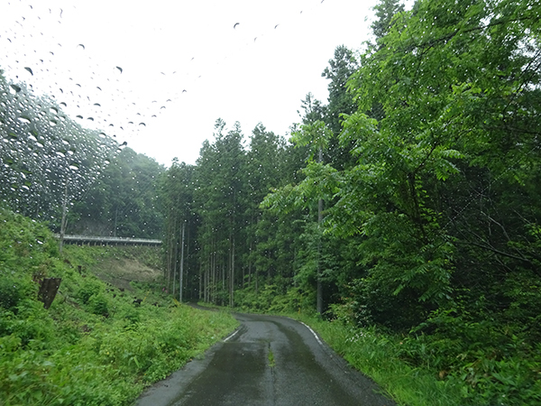 f0097523_14311177.jpg