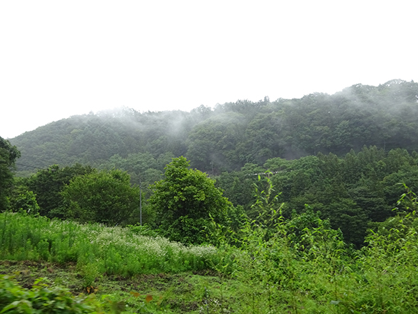 f0097523_14312260.jpg