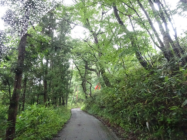 f0097523_14312627.jpg