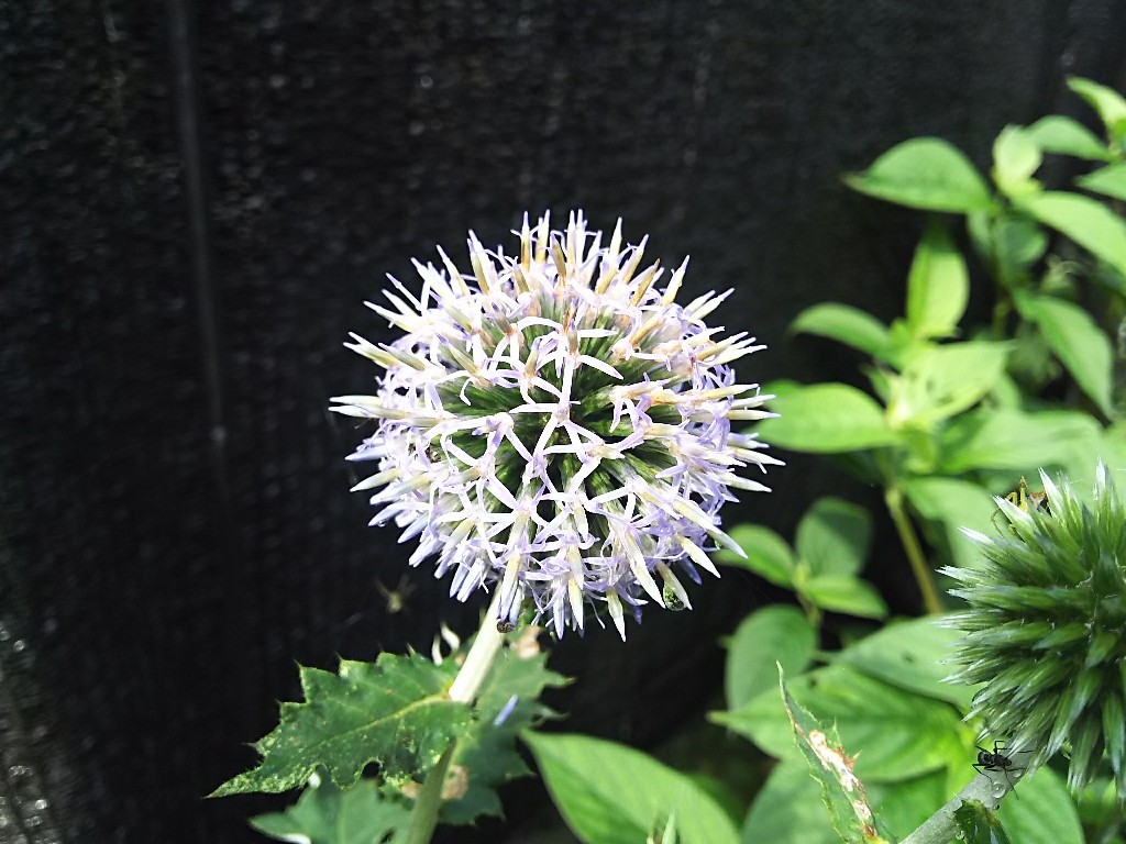 b0393328_09042390.jpg
