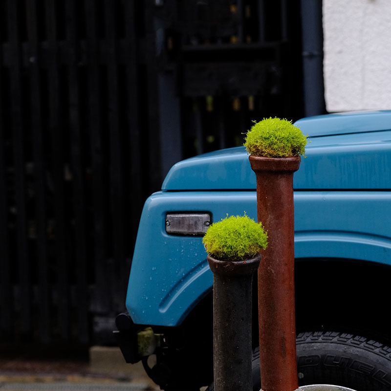 散歩写真　梅雨３_c0211429_07461067.jpg