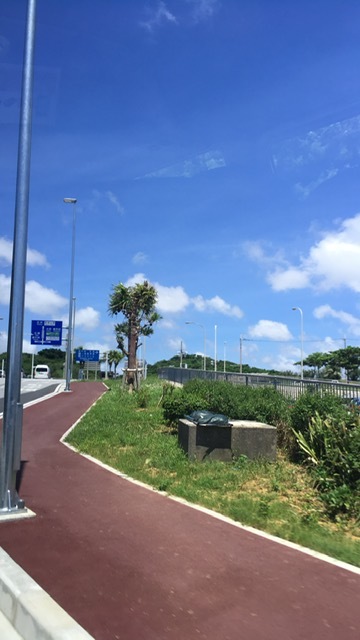 c0305531_16252299.jpeg