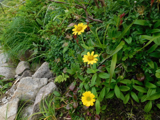 f0118332_21400526.jpg