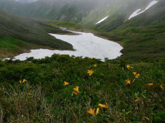 f0118332_21403549.jpg