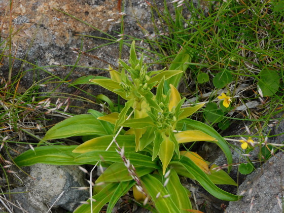 f0118332_21432669.jpg