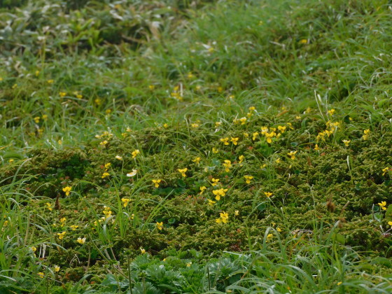 f0118332_21455891.jpg
