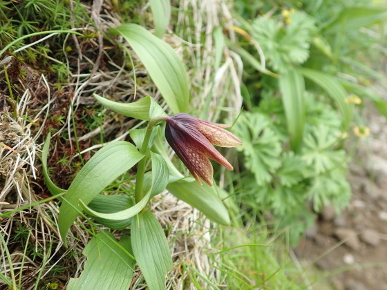 f0118332_21501911.jpg