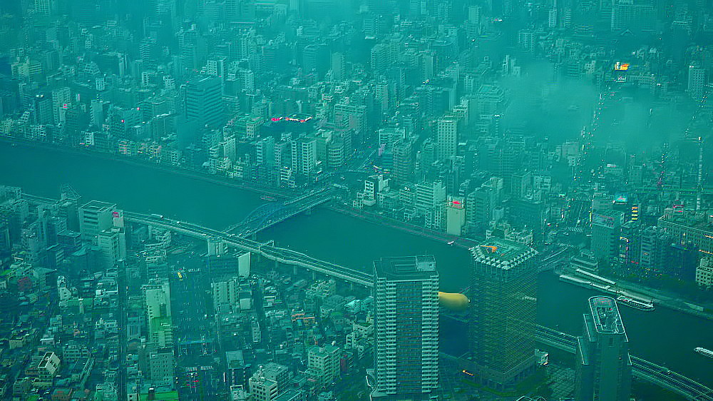 梅雨下の東京市街_a0287533_21094065.jpg