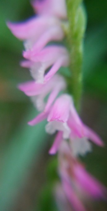 b0246533_13550501.jpg
