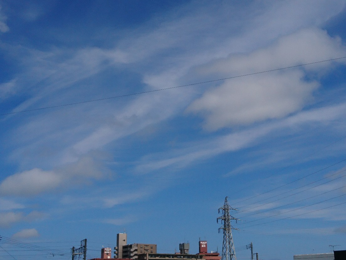 e0263536_22400589.jpg