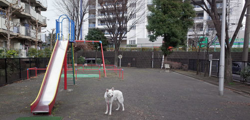 a0117039_21560494.jpg