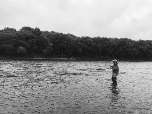 e0242439_01060136.jpg