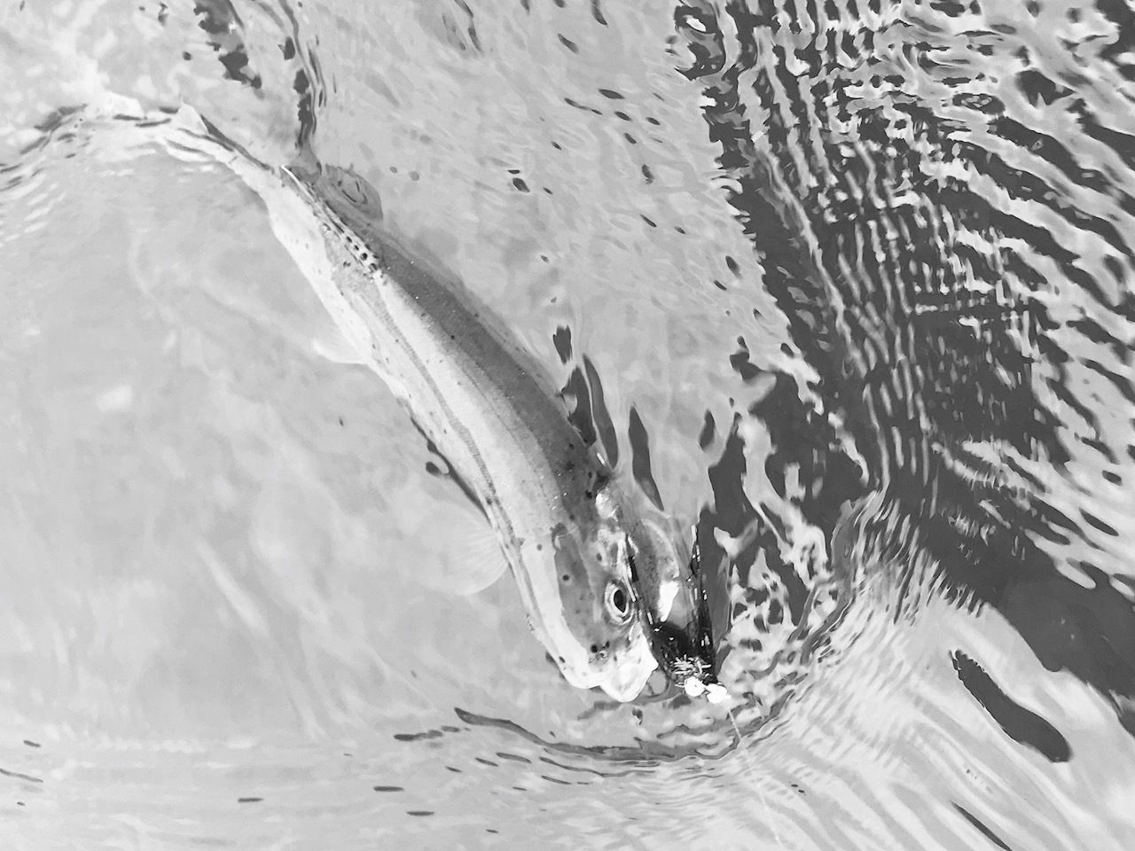 e0242439_01065079.jpg