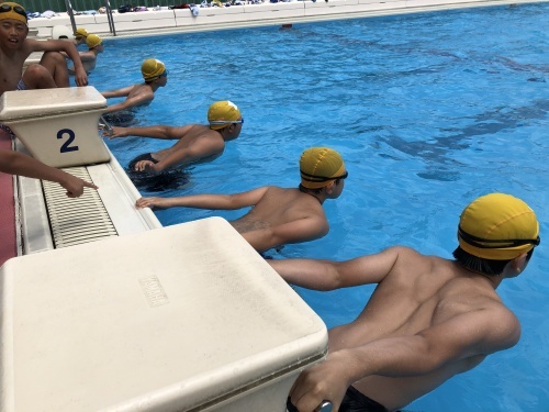 授業訪問（6年 体育 水泳） : 黒石市立追子野木小学校 輝け！お