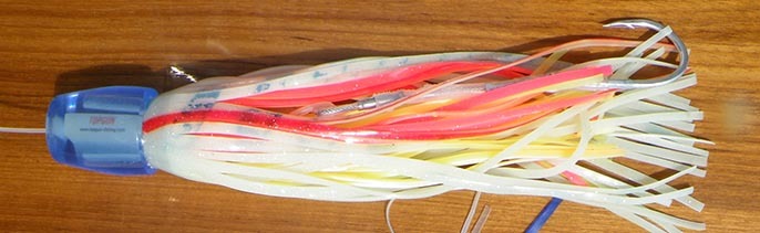 JBTK 串本大会はトップガンルアー大活躍_f0009039_18432617.jpg