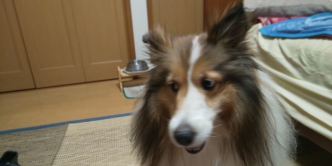 f0210439_01184455.jpg