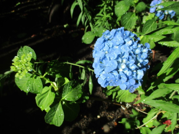 a0279743_10412114.jpg