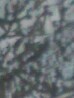 b0136144_08452371.jpg