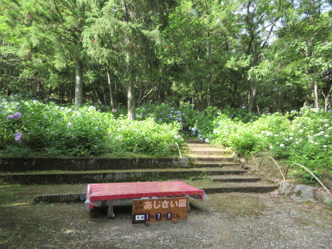 d0154954_08432500.jpg
