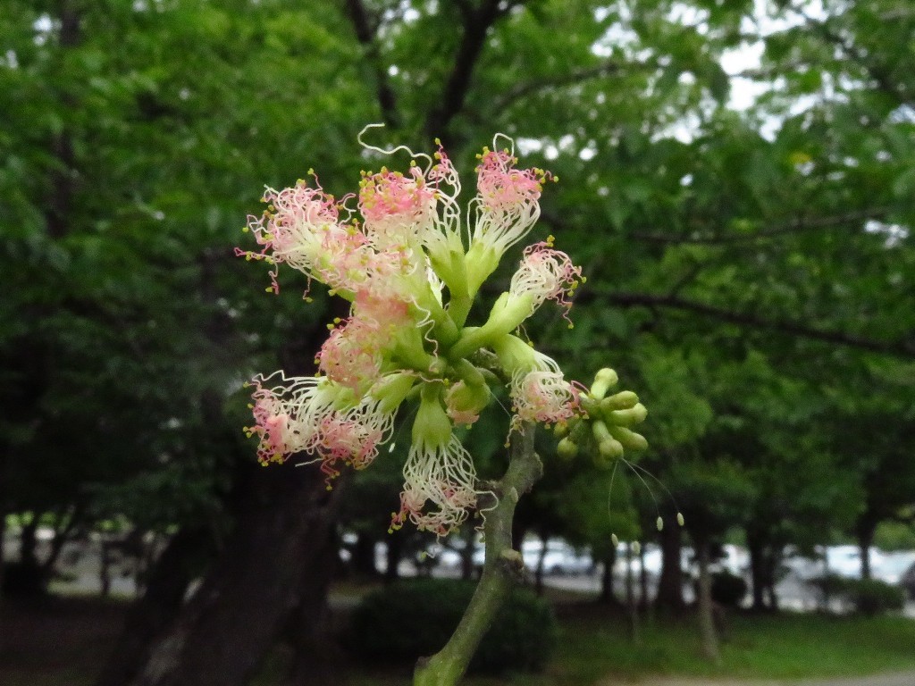 a0018655_09434629.jpg