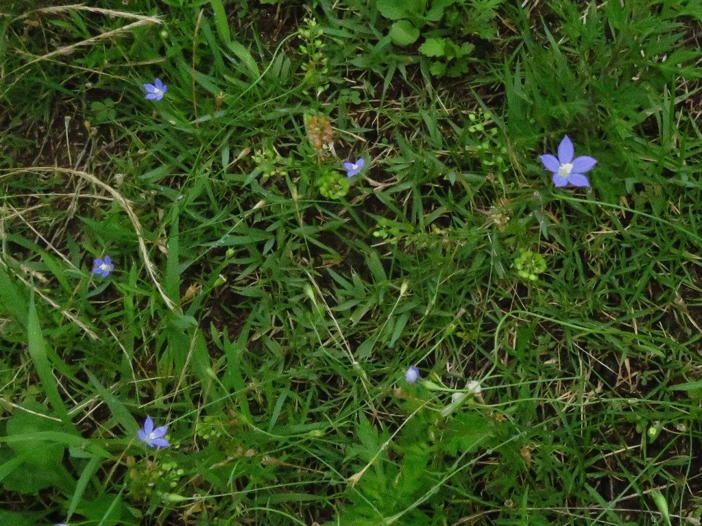 a0018655_09515829.jpg