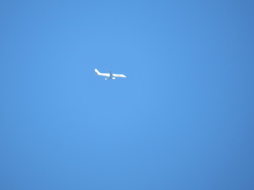 b0301459_12154215.jpg