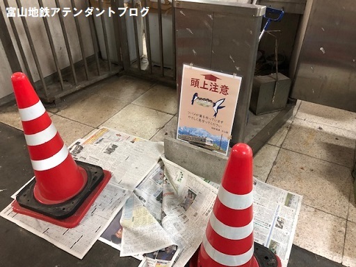 頭上注意!_a0243562_14060564.jpg