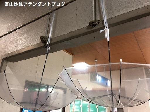 頭上注意!_a0243562_14060830.jpg