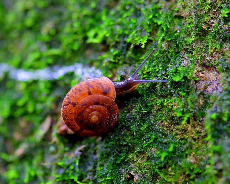 c0305565_17415151.jpg