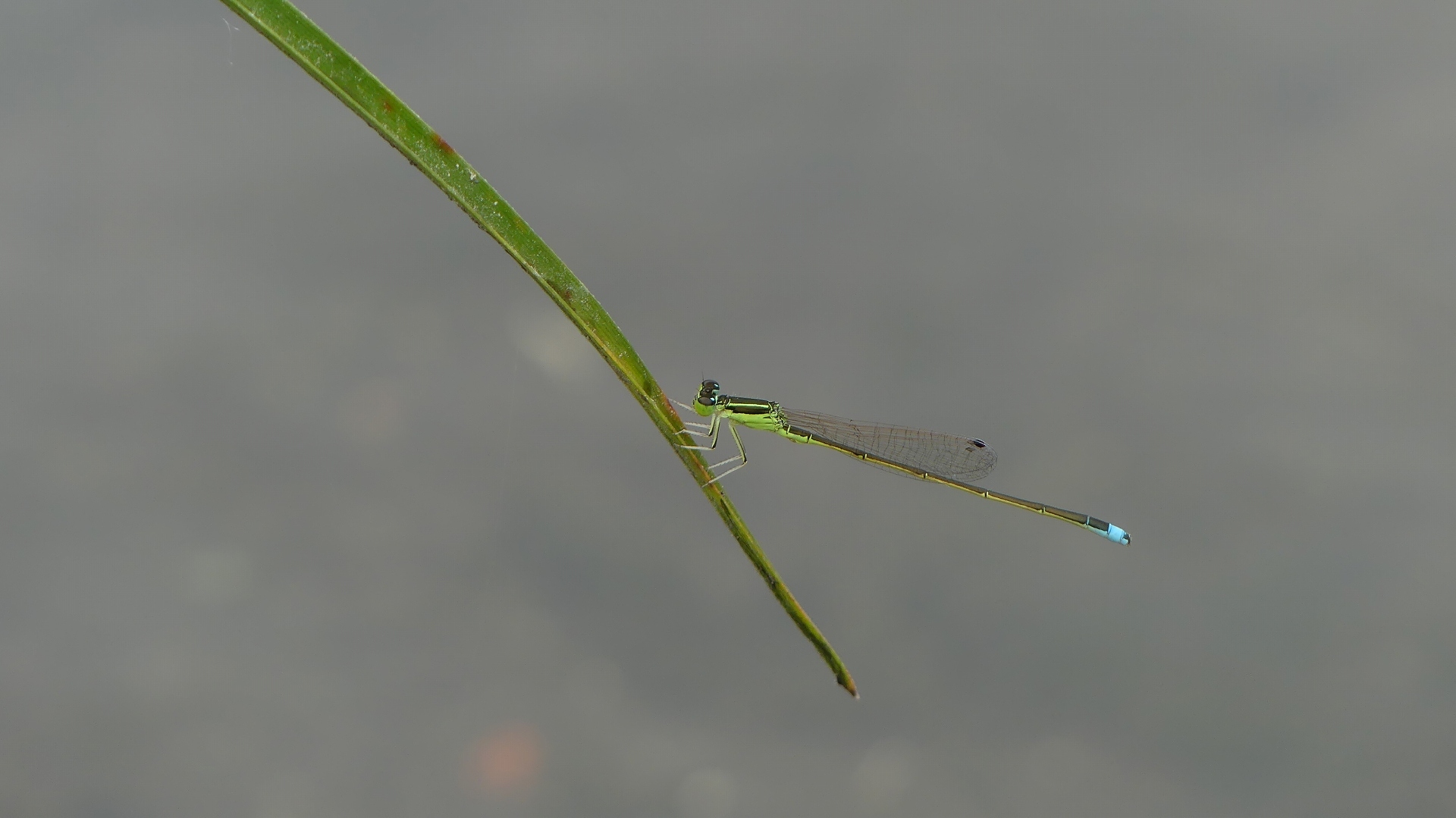 a0185081_20454019.jpg