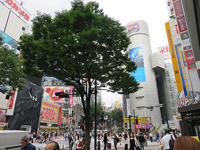 b0056983_13075447.jpg