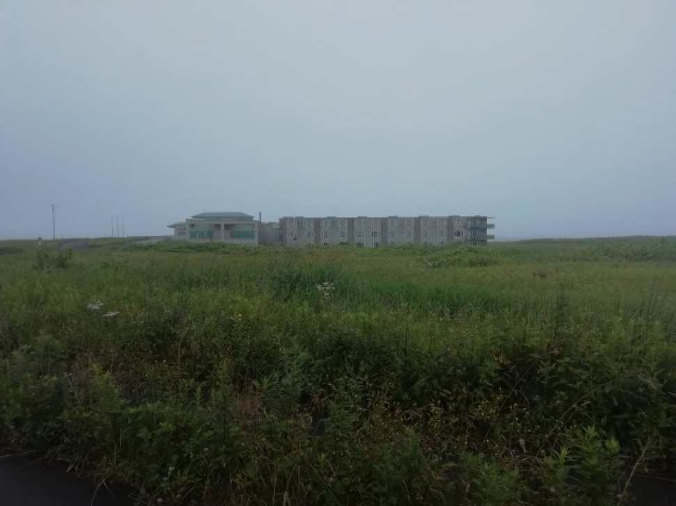 c0212083_16270272.jpg