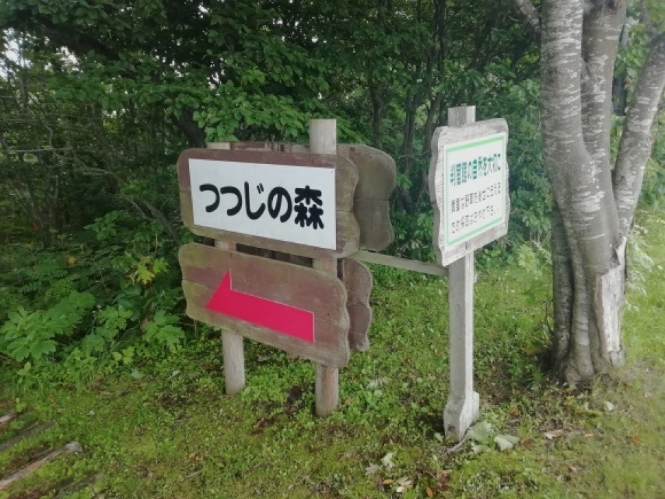 c0212083_16323886.jpg
