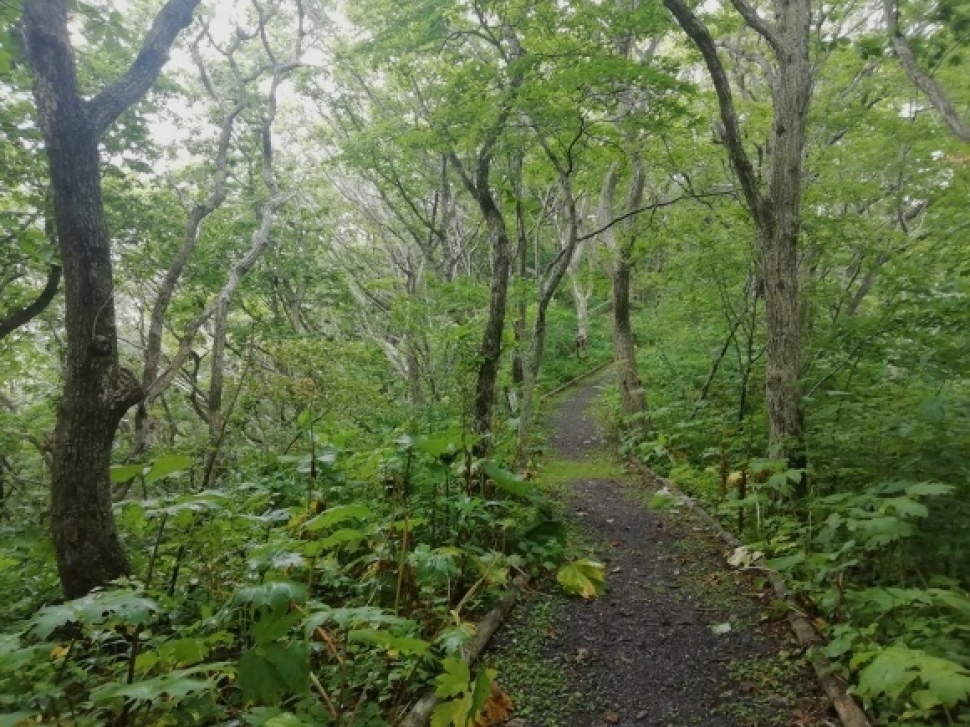 c0212083_16342979.jpg