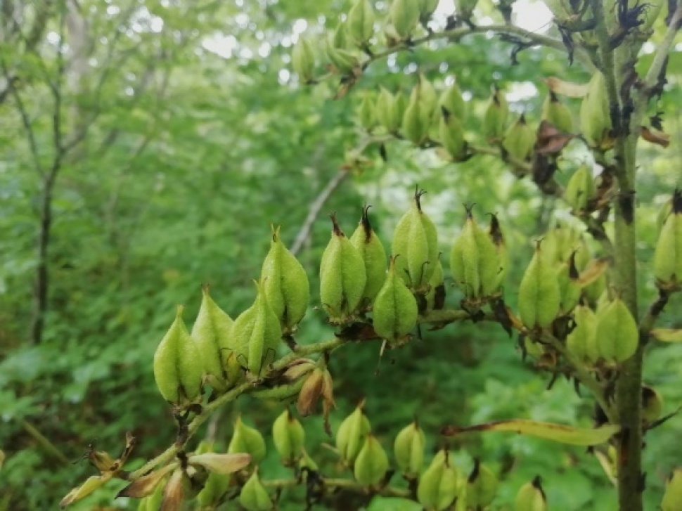 c0212083_16345770.jpg