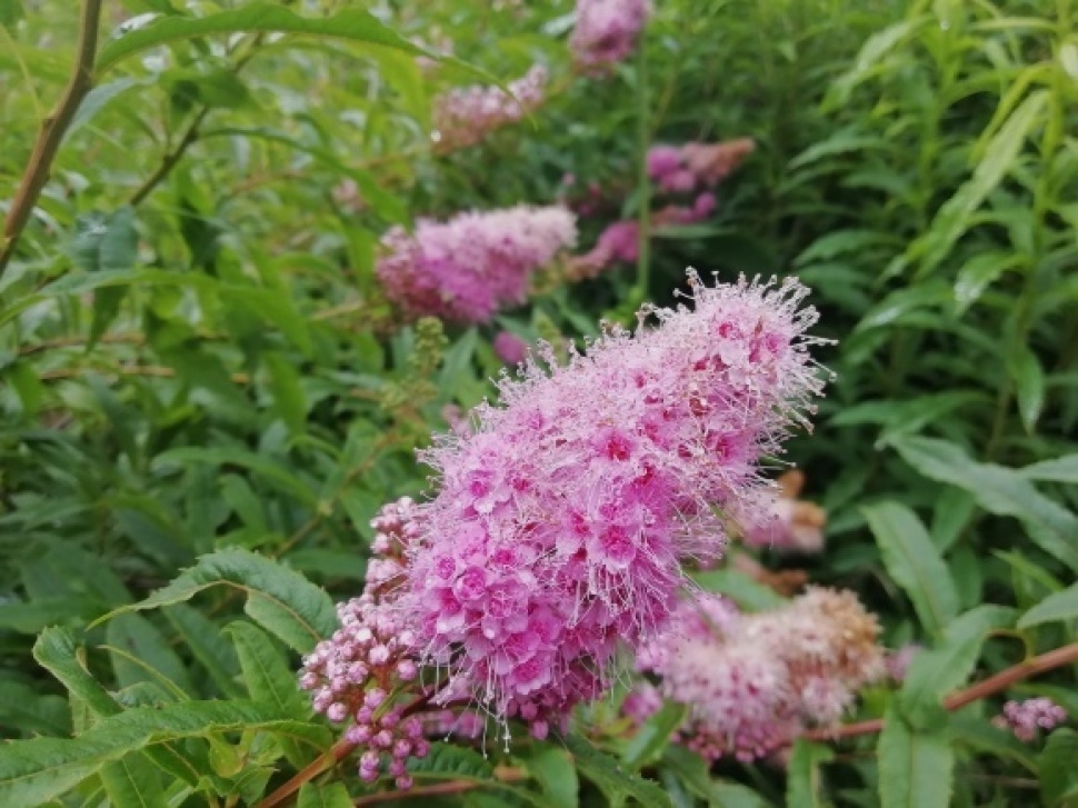 c0212083_16410481.jpg