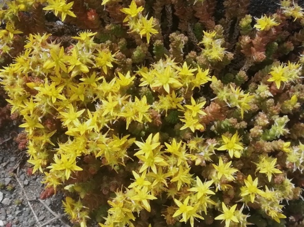 c0212083_16435222.jpg