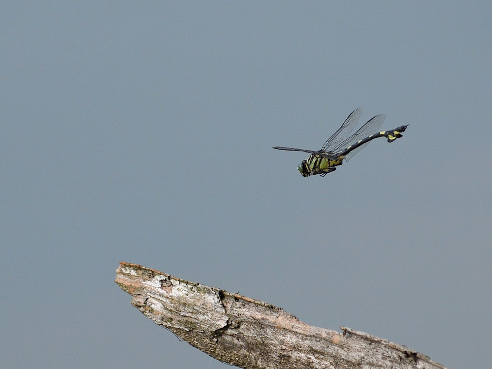 a0143491_01342167.jpg