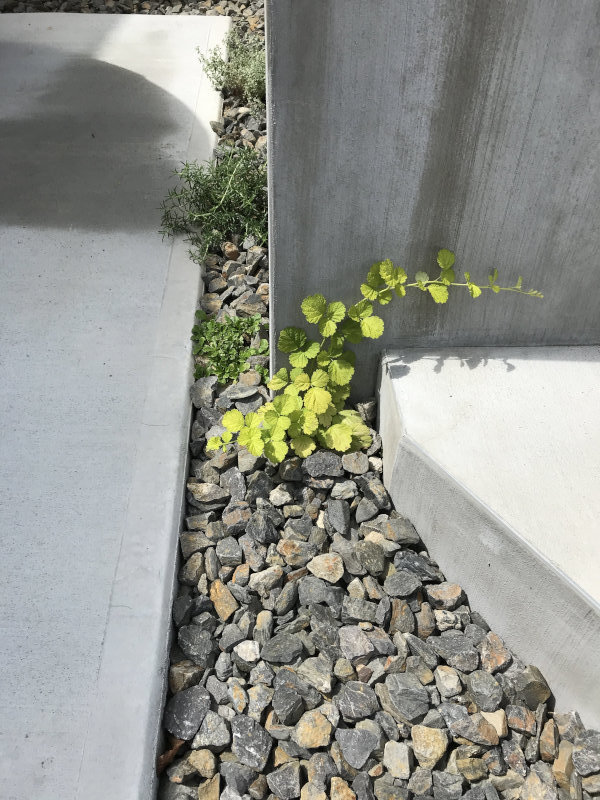 南庭と北庭を愉しめるプラン 奈良三郷町の家_b0349892_09223451.jpg