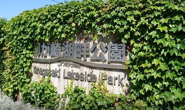 f0346196_19453340.jpg
