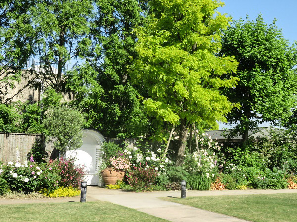 f0346196_19562808.jpg