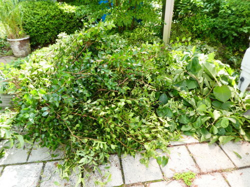 c0108198_14593006.jpg